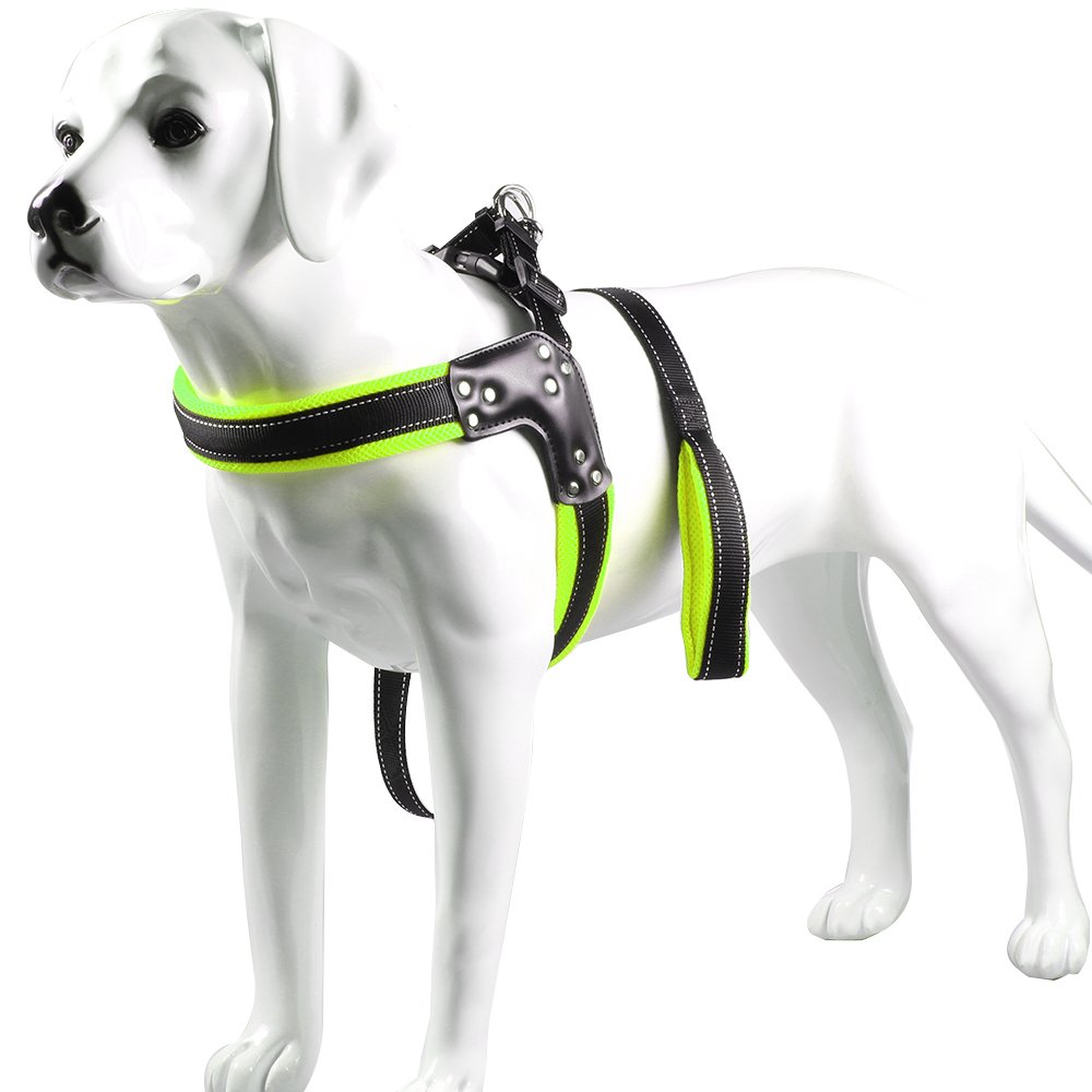 STXMALL Hundegeschirr Mit Hundeleine Hunde Geschirr Set Einstellbare Reflektierendes Langlebiges Nylon Verstellbares Outdoor Spazierengehen Gassi Gehen Laufen Grün M