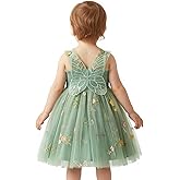 TTYAOVO Baby Girls Tulle Dress Butterfly Birthday Party Dresses