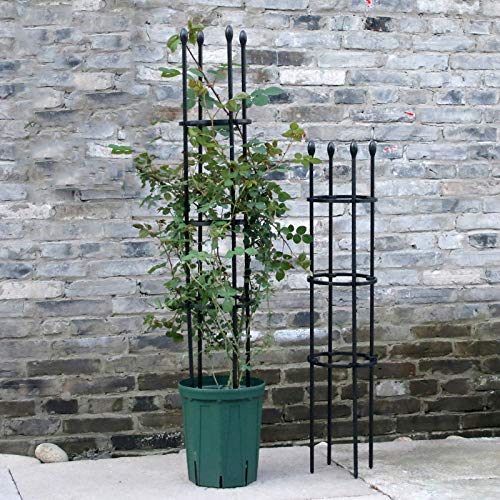 CJSWT Rankhilfe, Rankobelisk,Rankgerüst Kletterpflanzen,Gartenpflanze Support Käfige, Metall Obelisk, Garten Obelisk… – Bild 8