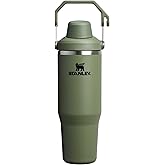 Stanley IceFlow 2.0 Fast Flow Tumbler with Handle 30 oz | Twist On Angled Spout Lid | Leakproof Water Bottle | Insulated Stainless Steel | BPA-Free | Dried Pine