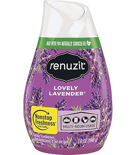 Amazon.com: Renuzit, Blissful Apple & Cinnamon, 7 Ounce : Health