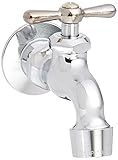 Homewerks 3210-160-CH-B-Z Single Handle Wall-Mount