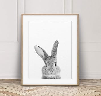 rabbit prints for nursery