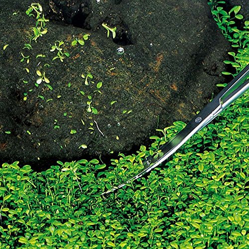 Skoye Aquarium Tweezers Scissor Spatula Tools 4 in 1 Long Stainless Steel Aquarium Tank Aquascaping Tools, Aquatic Plant Tweezers Scissors Spatula Landscaping Cleaning Tool Set & Fish Starter Kit - Thumbnail 4