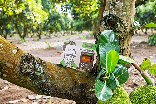 Upton’s Naturals Jackfruit - 10.6 oz boxes (Pack of 10) (Chili Lime Carnitas)