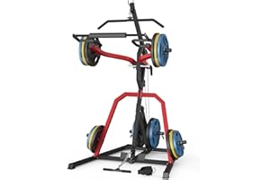 DONOW Leverage Gym Power Rack Squat Rack Lever Gym with LAT Low Row System Home Gym System Workout Station 2:1 Ratio (Without Weight Plates)