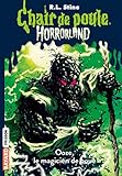 Image de Magicien d'Ooze Horrorland N17