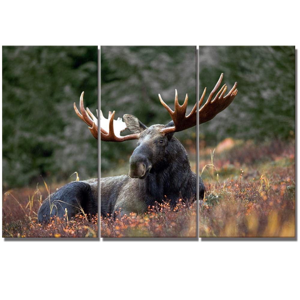 Welmeco Large 3 Pieces Animals Wildlife Wall Decor Moose with Long Antler in Bushes Canvas Prints Deer Artwork for Home Living Room Bedroom Decoration