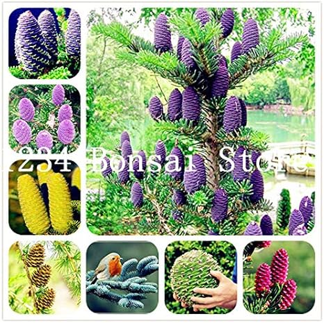 Amazon Co Jp 新しいarrvial 18 100pcs希少な韓国のファー アビーズ韓国の盆栽の木24色盆栽の花植物diyホームガーデン 混合 ホーム キッチン