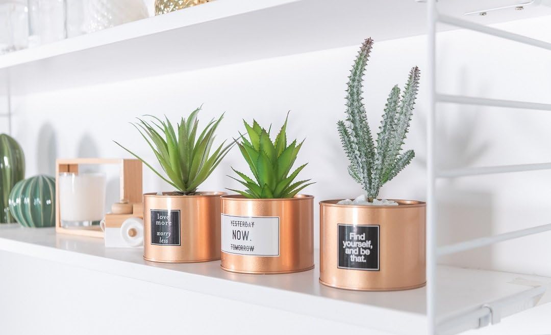 Opps Mini Artificial Plants Plastic Green Grass Cactus with Special Golden Can Pot Design for Home Décor – Set of 3 -