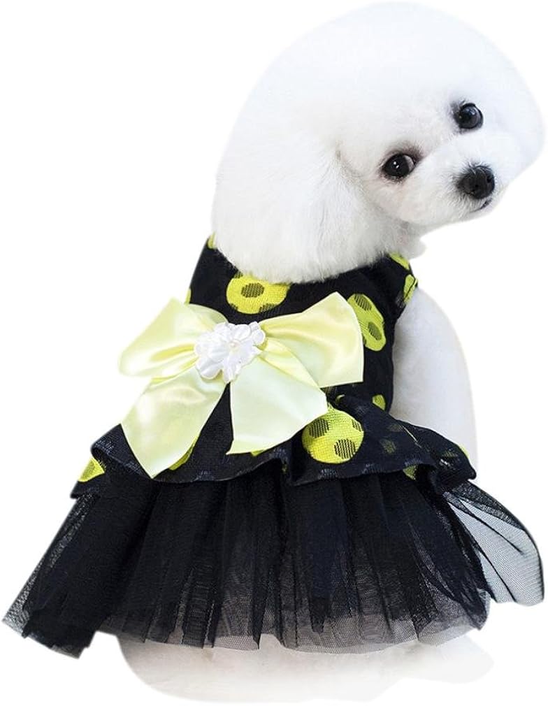 vêtements pour chien petite taille