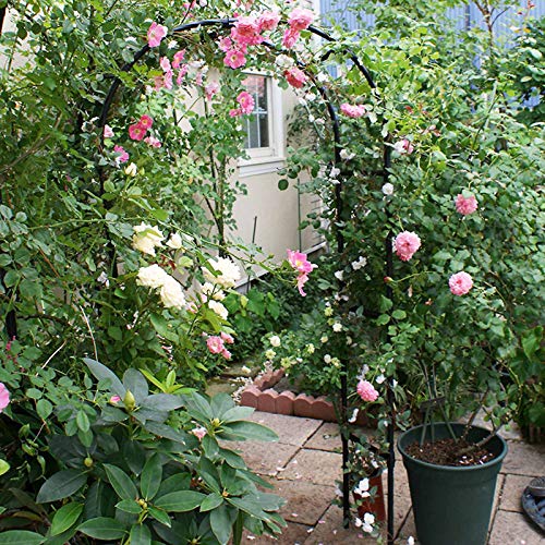 HRXQ Rosenbogen Metall Schwarz, Pergola Metall, Pergola Metall Rankbogen Für Kletterpflanzen, Spalier Rankgitter, Frei… – Bild 3