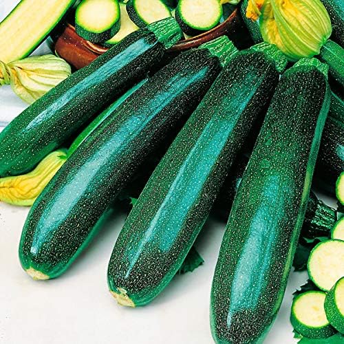 Creine 20 Pcs Zucchini Seeds Climbing courgette Black Forest F1 Vegetables Seeds Buy Online in