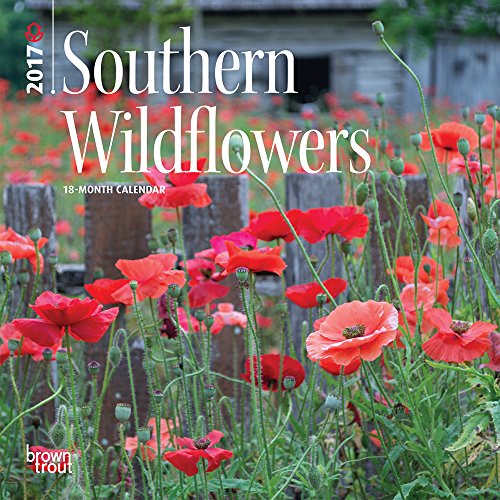 Southern Wildflowers 2017 - 7inch x 7inch Hanging Mini Square Wall Photographic Flower Planner Calendar