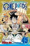One Piece, Vol. 45