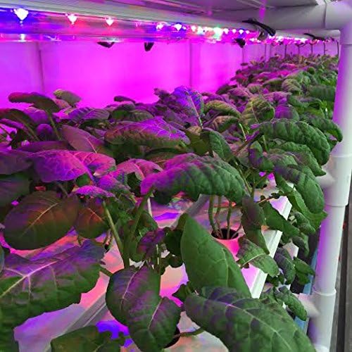 Full Spectrum LED Tube Light 16 Watt