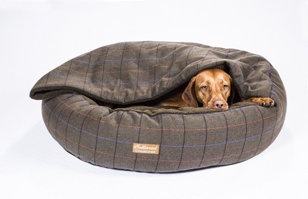 collared creatures bed