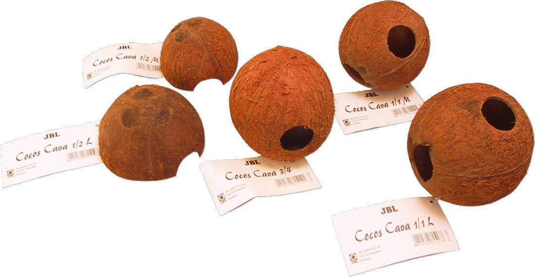 JBL Cocos Cava 1/1L, Coconut shell cave for aquariums and terrariums