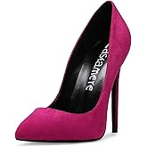 Castamere Womens High Heel Pumps Slip-on Pointy-Toe Elegant Stilettos Comfort Sexy Heel Shoes 4.7Inch Heels Black Lining