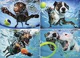 Underwater Dogs 2 Jigaw Puzzle