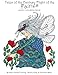 Tales of the Fantasy flight of the fairies (Adult Coloring Books) (Volume 2) by 