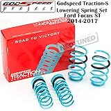 Godspeed (LS-TS-FD-0005) Traction-S Lowering Spring