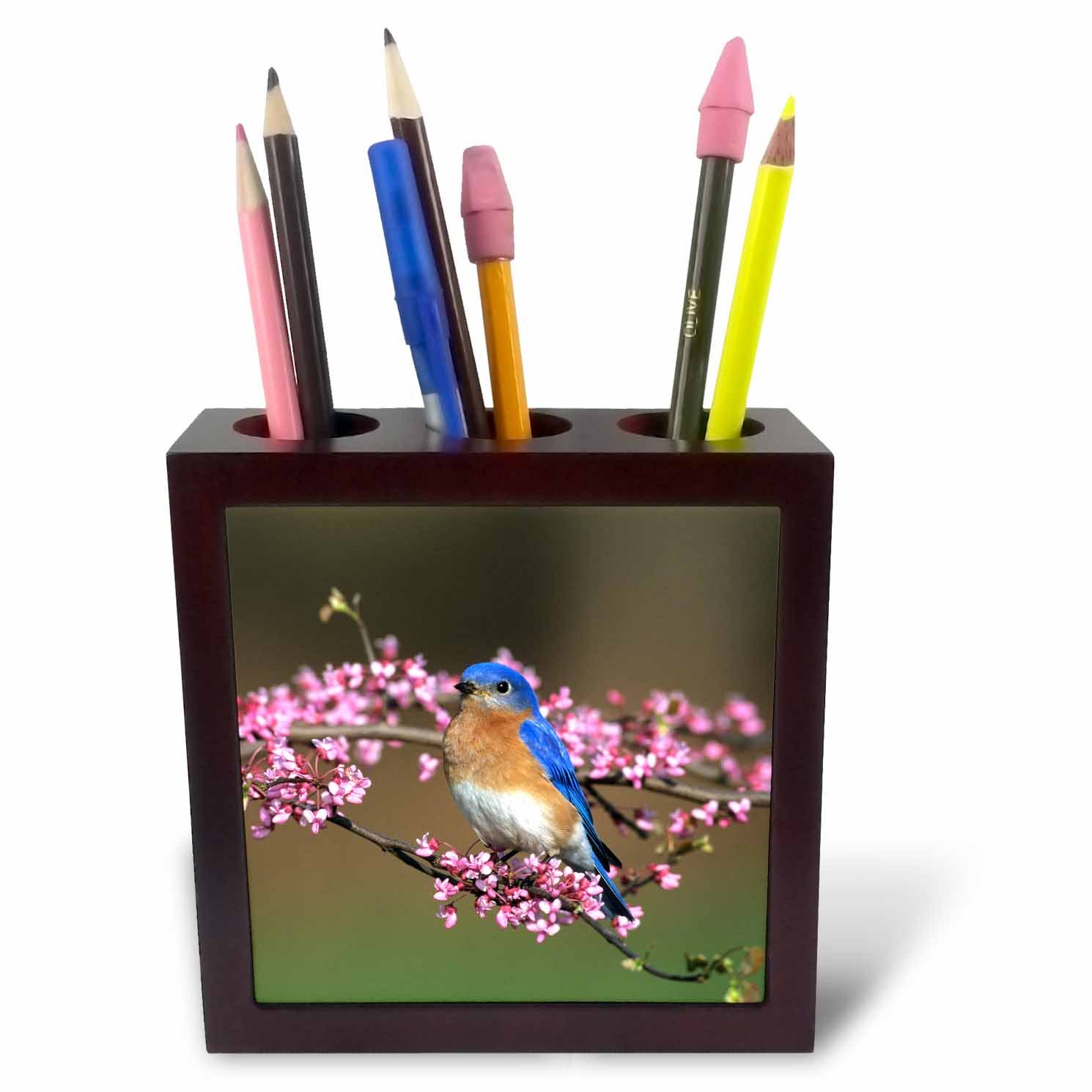3dRose ph_250870_1 5-Inch Eastern Bluebird Male in Redbud Tree in Spring/Marion/Il Tile Pen Holder