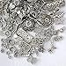 Beading Station Antique Style Everything Mix, Charms, Spacers, Bead Caps, Clasps, Connectors, All Crafting Needs ~ Jewelry Findings ~ (Spacer&Caps 100pcs Antique Silver)
