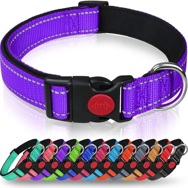 JESATA Reflective Dog Collar with Safety Locking Buckle | Adjustable Pet Collar with Soft Neoprene Padding | Durable & Comfortable Nylon Pet Collar for Puffy, Cats (M (35-47cm), Purple)
