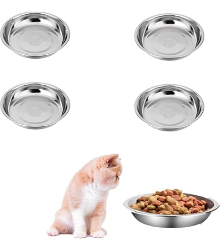 Ciotola Per Gatti Rialzata, 2 Ciotola Per Gatti E Cani Con Tappetino