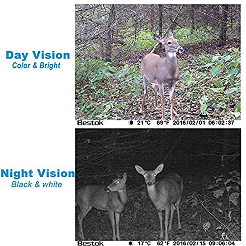image for Bestok Hunting Trail Camera 120° 12MP HD Infrared Night Vision 65ft 2