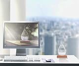 Coocnh Storm Glass Weather Predictor Barometer Crystal Bottle Decorative view 7