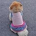 Puppy Clothes,Neartime Small Dog Tee Layered Dress Cat Pet Outfit (L)