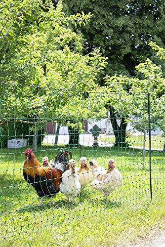 Landkaufhaus Mayer Geflügelzaun | Geflügelnetz | Engmaschig, Standfest durch Doppelspitze | ohne Strom! - Höhe: 105cm… – Bild 3