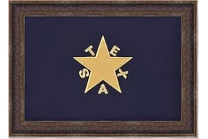 Wall Art Giant | Framed De Zavala Texas Flag 32"X44" Inches | Custom Faux Leather Frame