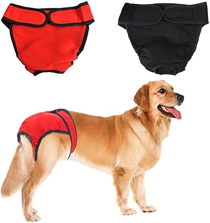female dog pants