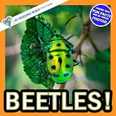 Beetles!: A My Incredible World Picture Book for Children (My Incredible World: Nature and Animal Picture Books for Children)