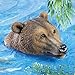Collections Etc Bear Head Pool Floater