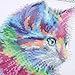 Whitelotous 5D Diamond Painting DIY Paint-by-Diamond Kit Craft Home Wall Decor - Colorful Cat 30 x 30 cm (Partial Drill)