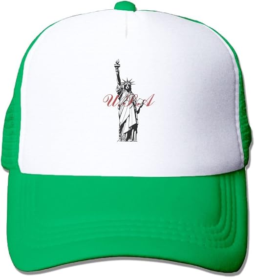 TYURT DFGD USAStatue of LibertyImage Premium Original Blank Flexfit