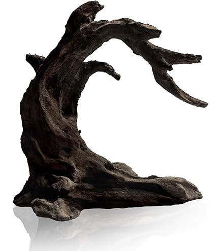 Amazon.com: Nodel design 38kt miyabi wood SUGI Walnut Cedar
