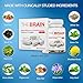 Focus+ Brain Supplement and Memory Support Pill (The Brain Focus 30 Capsules)