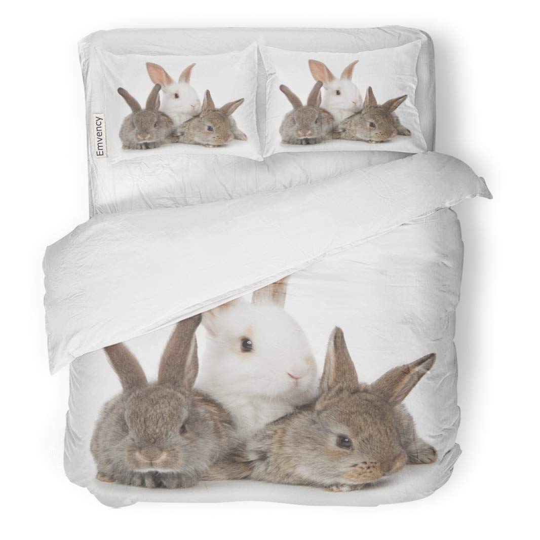 Best Full Bedding Set Bunnies