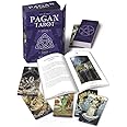 Pagan Tarot Kit: New Edition: Pace, Gina M., Raimondo, Luca ...