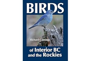 Birds of Interior BC and the Rockies