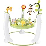 evenflo jam session exersaucer