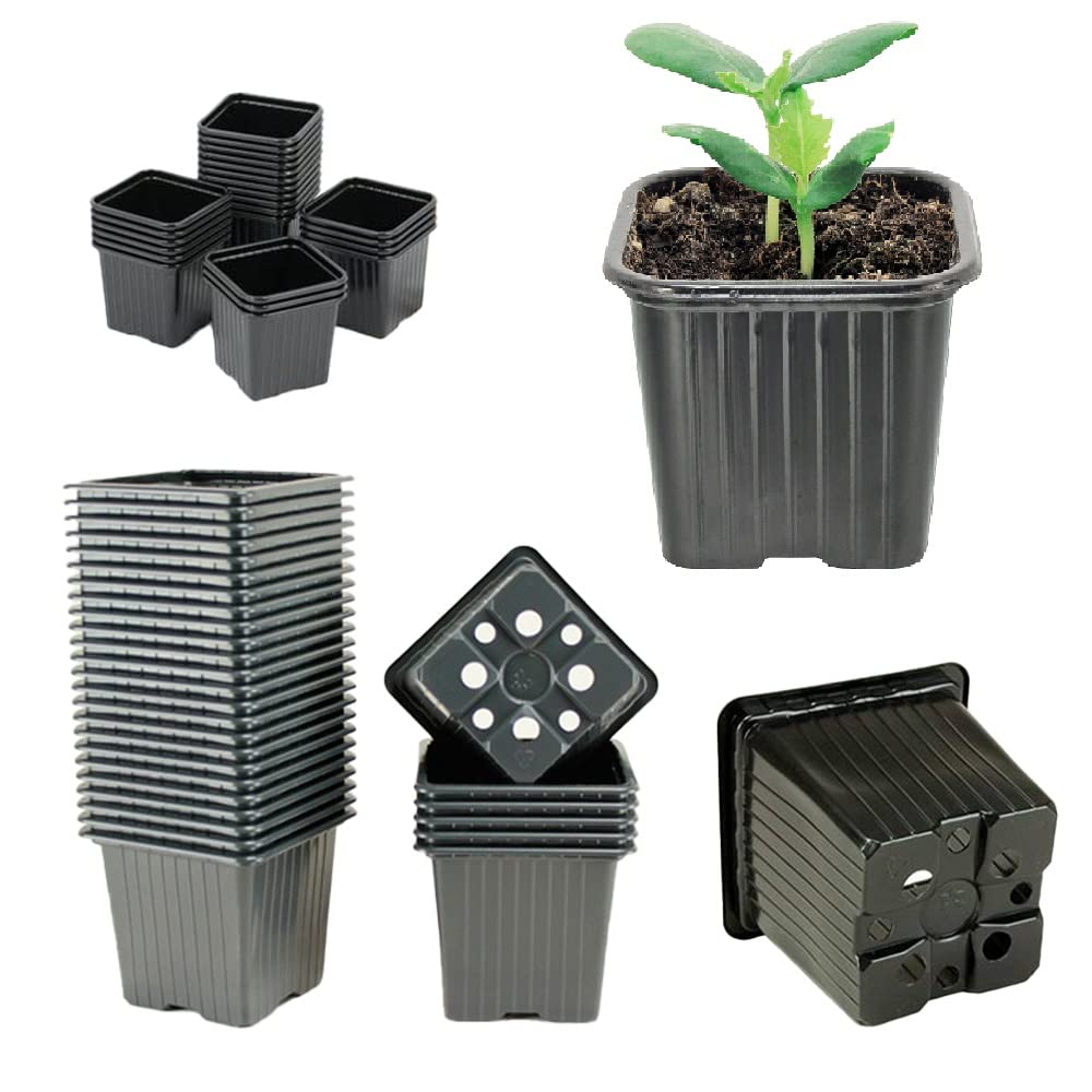 HYDROPLANETE Seedling Pots – 3 Sizes Available 7x7 8x8 9x9cm – Made in France – Packs of 24, 50, 100 or 1000 Units – Reusable Plastic Pots for Seedlings and Young Plants.