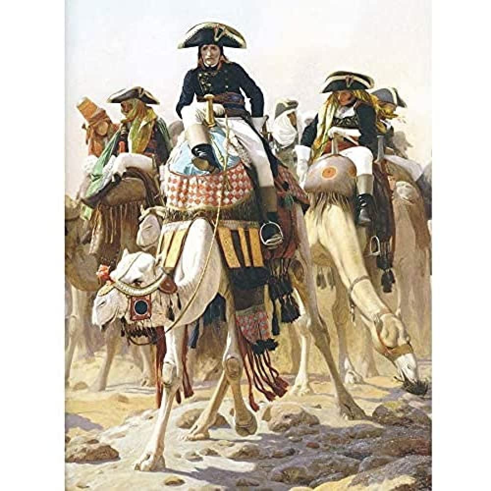 Gerome Napoleon Bonaparte Camel Egypt Painting Art Print Canvas Premium Wall Decor Poster Mural