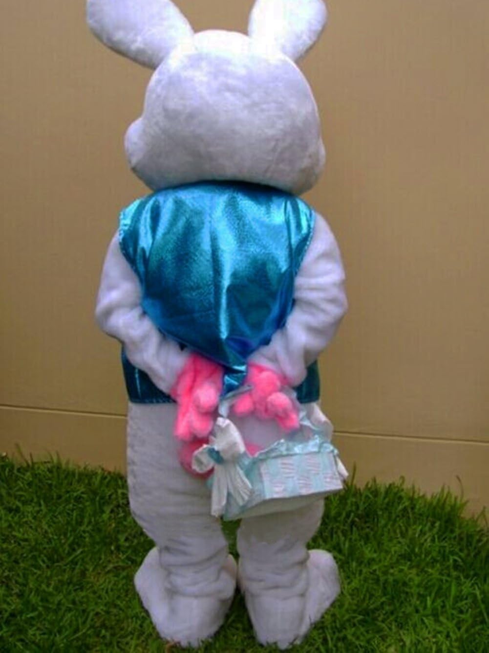 Easter Rabbit Bunny Rabbit Mascot Costume Adult Size Fancy Dress: Clothing