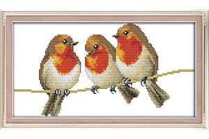 Awesocrafts Unstamped Cross Stitch Kits, Three Little Birds Easy Patterns Cross Stitching Embroidery Kit Supplies Christmas Gifts, Stamped or Counted (Birds, Counted)